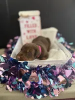 processed/5a2f9ef7-6b6e-45d7-ba38-b33a0b7938c0/listing/1e73303f-1d44-4239-b1bb-b20c29c57b68/8d56a073-456a-4aef-b8ba-ab538a762bb2