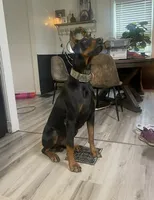 processed/5a2f9ef7-6b6e-45d7-ba38-b33a0b7938c0/listing/1e73303f-1d44-4239-b1bb-b20c29c57b68/ae636234-fba2-415e-91fa-dbdda5b927c1