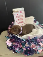 processed/5a2f9ef7-6b6e-45d7-ba38-b33a0b7938c0/listing/2f5bc126-392b-474d-9b34-63eabbbae324/996c2b75-baff-49e3-8cef-b7759a294b9d