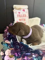 processed/5a2f9ef7-6b6e-45d7-ba38-b33a0b7938c0/listing/2f5bc126-392b-474d-9b34-63eabbbae324/dae4c21e-8960-45ee-bf73-4b0f489da4f9