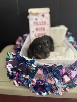 processed/5a2f9ef7-6b6e-45d7-ba38-b33a0b7938c0/listing/4f2a9916-abb4-48cf-90a8-32591a87e6c8/13c806ae-5b64-4d0f-a982-d121d8b96e1b