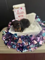 processed/5a2f9ef7-6b6e-45d7-ba38-b33a0b7938c0/listing/4f2a9916-abb4-48cf-90a8-32591a87e6c8/e837040f-0442-4419-a220-a116744fc3b5