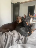 processed/5a2f9ef7-6b6e-45d7-ba38-b33a0b7938c0/listing/6e394aad-2378-4a06-a1b8-3c7fafb76417/05df52c3-acd1-4905-bc7e-54d7e86fbf36