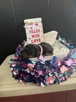 processed/5a2f9ef7-6b6e-45d7-ba38-b33a0b7938c0/listing/6e394aad-2378-4a06-a1b8-3c7fafb76417/2906a97b-5df9-4ba1-ba4e-c05f0072ebbe