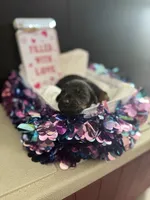 processed/5a2f9ef7-6b6e-45d7-ba38-b33a0b7938c0/listing/6e394aad-2378-4a06-a1b8-3c7fafb76417/cd7dc33c-d907-41a6-a928-a3404d4c0624