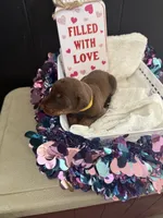 processed/5a2f9ef7-6b6e-45d7-ba38-b33a0b7938c0/listing/761a5002-a411-425a-824b-2b4bd5741141/94e568cd-e98b-4da4-a2a5-4cb1e78131fa