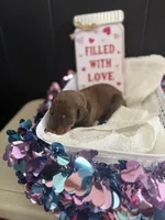 processed/5a2f9ef7-6b6e-45d7-ba38-b33a0b7938c0/listing/761a5002-a411-425a-824b-2b4bd5741141/a867a6dd-2c6e-48d2-b92b-38c7165bba5e