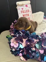 processed/5a2f9ef7-6b6e-45d7-ba38-b33a0b7938c0/listing/761a5002-a411-425a-824b-2b4bd5741141/e3c19c34-273d-419f-9069-21f27a645bab