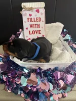 processed/5a2f9ef7-6b6e-45d7-ba38-b33a0b7938c0/listing/89b42fd6-86a6-40c3-ba6d-e383854ca96e/24a73410-3afa-40c2-b6ea-f5bd252fa4af