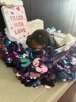 processed/5a2f9ef7-6b6e-45d7-ba38-b33a0b7938c0/listing/89b42fd6-86a6-40c3-ba6d-e383854ca96e/9044dfe6-17b1-493d-9951-dcc6c04a1101