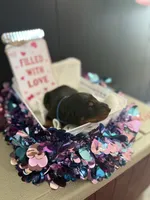 processed/5a2f9ef7-6b6e-45d7-ba38-b33a0b7938c0/listing/89b42fd6-86a6-40c3-ba6d-e383854ca96e/f1e8a5b7-d11f-4eb4-8614-cc41a270d86b