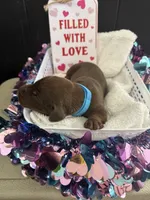 processed/5a2f9ef7-6b6e-45d7-ba38-b33a0b7938c0/listing/a941da11-bba5-4b26-9f05-d49fec454efa/099a437d-bc7f-4671-bde3-5ce8c0cf0df8