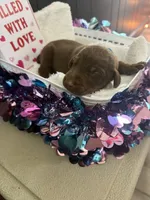 processed/5a2f9ef7-6b6e-45d7-ba38-b33a0b7938c0/listing/a941da11-bba5-4b26-9f05-d49fec454efa/fb65e17d-42fc-42c7-88ff-a62f5b360725