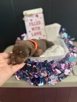 processed/5a2f9ef7-6b6e-45d7-ba38-b33a0b7938c0/listing/dc196d92-9043-49ae-b765-5830564deaf4/7ece6e0e-9846-4fd3-ab3d-9e19e4373ec5