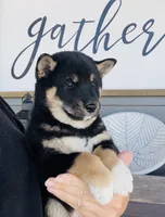 processed/5a345b53-2959-43e3-982f-3a71f4cf870b/listing/4c4abae2-d03b-45c8-b690-8482be490eaa/56cd5984-006e-467c-bdc2-5636b1a96e16