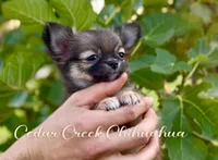 processed/5a4b0291-e702-4ea8-a7df-0c97804d1c28/facility/03dc62cf-6481-4a27-a61e-7f96692eff33