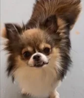 processed/5a4b0291-e702-4ea8-a7df-0c97804d1c28/facility/51954bfd-ab29-4eaf-a831-aa37d137fc92