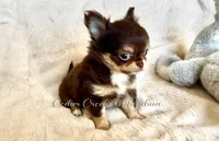 processed/5a4b0291-e702-4ea8-a7df-0c97804d1c28/facility/6e4697f5-ca33-4aa4-9cd1-7d48693c3231