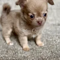 processed/5a4b0291-e702-4ea8-a7df-0c97804d1c28/facility/b0317747-eb6b-4535-a3fb-ffbe26146305