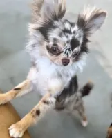 processed/5a4b0291-e702-4ea8-a7df-0c97804d1c28/facility/cf067d28-ad86-4a29-b0e7-a09ea9cf22f0