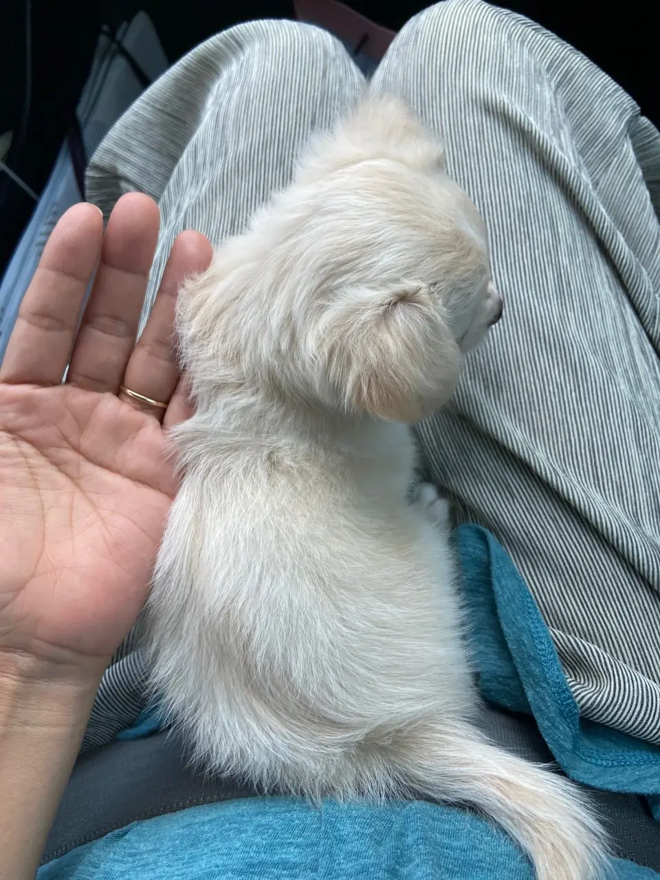 processed/5a4b0291-e702-4ea8-a7df-0c97804d1c28/facility/dc66fd48-dc2e-4543-b9c0-98b40945806d