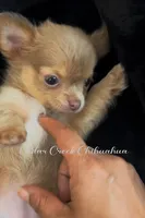 processed/5a4b0291-e702-4ea8-a7df-0c97804d1c28/facility/ec39971c-c8fe-45bc-af70-63851002f025