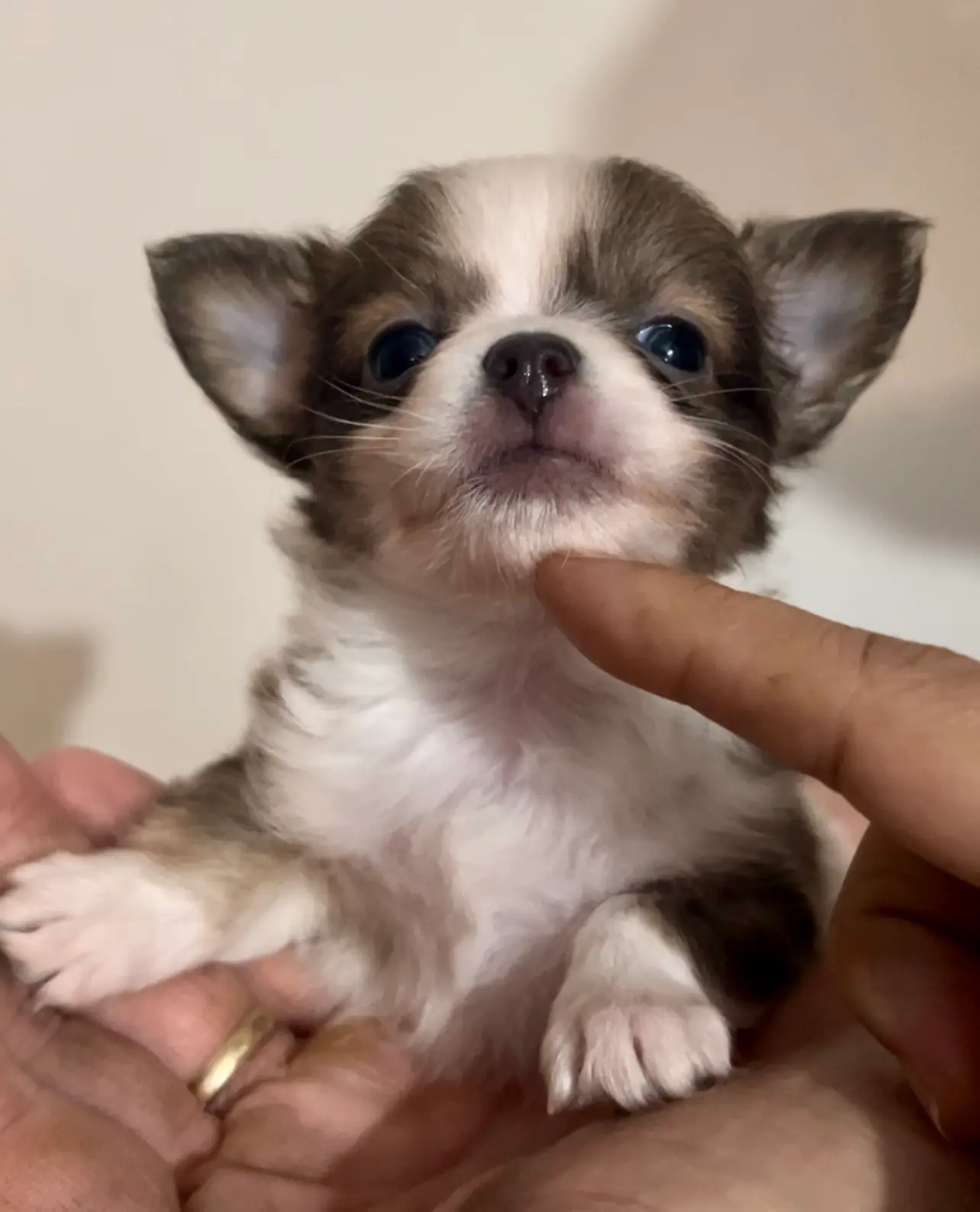 processed/5a4b0291-e702-4ea8-a7df-0c97804d1c28/facility/f4305022-8b53-4d49-8b4e-b209509a4c5c