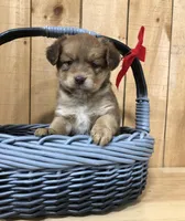 processed/5a4fe9f7-9ce3-4dd3-be57-15bed8cc7767/facility/141a1504-9c1b-4808-8862-fff860e5705f