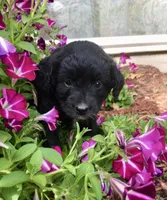 processed/5a4fe9f7-9ce3-4dd3-be57-15bed8cc7767/facility/18565790-38e7-4794-9985-68f43ee9c0d1