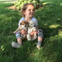 processed/5a4fe9f7-9ce3-4dd3-be57-15bed8cc7767/facility/26b63dc2-bb57-4204-8823-953fa1f30a22