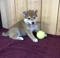 processed/5a4fe9f7-9ce3-4dd3-be57-15bed8cc7767/facility/34870e0b-bf60-43d5-8aa0-20322ffa18b1