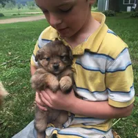 processed/5a4fe9f7-9ce3-4dd3-be57-15bed8cc7767/facility/818b1a68-9456-456a-a9a5-ca850d72fcbb