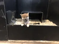 processed/5a4fe9f7-9ce3-4dd3-be57-15bed8cc7767/facility/9cd9a982-605f-4a6a-bf17-7b6b4eb7c5c5