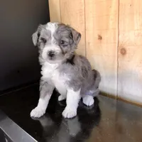 processed/5a4fe9f7-9ce3-4dd3-be57-15bed8cc7767/facility/a29b3f26-0053-4143-bbaa-dd146ecc67b9