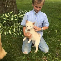 processed/5a4fe9f7-9ce3-4dd3-be57-15bed8cc7767/facility/e2fa8f94-fd5e-4f35-a2ef-e95858ed125e