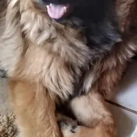 processed/5a51713d-62eb-4db0-aca7-faec690e73d2/facility/1f35cd76-ac8e-4749-a720-fd209ff98482