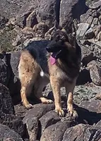 processed/5a51713d-62eb-4db0-aca7-faec690e73d2/facility/7412cd8f-ba75-4592-a9d2-8263759a8d1d