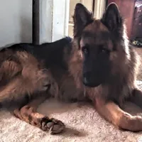 processed/5a51713d-62eb-4db0-aca7-faec690e73d2/facility/b62fa394-686b-40ea-aadf-ff5aa4a0cc06