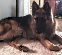 processed/5a51713d-62eb-4db0-aca7-faec690e73d2/facility/b62fa394-686b-40ea-aadf-ff5aa4a0cc06