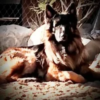 processed/5a51713d-62eb-4db0-aca7-faec690e73d2/facility/cdc14d13-b8ca-4578-9fdf-29be5ab7c4ee