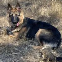 processed/5a51713d-62eb-4db0-aca7-faec690e73d2/facility/de4992e5-d799-41bc-9c80-2a2f7a068bef