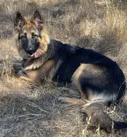 processed/5a51713d-62eb-4db0-aca7-faec690e73d2/facility/de4992e5-d799-41bc-9c80-2a2f7a068bef