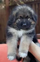 processed/5a51713d-62eb-4db0-aca7-faec690e73d2/listing/04a58d80-df40-4f6f-a6f0-ad748b896b7a/04327158-f58d-4528-8ff9-4c6982897575