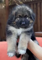 processed/5a51713d-62eb-4db0-aca7-faec690e73d2/listing/04a58d80-df40-4f6f-a6f0-ad748b896b7a/2fd74baa-41e8-4efa-8589-3853e47a5f79