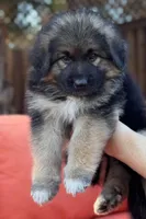 processed/5a51713d-62eb-4db0-aca7-faec690e73d2/listing/04a58d80-df40-4f6f-a6f0-ad748b896b7a/f36aa79b-7d29-41c0-b444-32b8c493139e