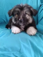 processed/5a51713d-62eb-4db0-aca7-faec690e73d2/listing/0af7c1fe-223d-4db0-9a04-1818136d5650/0a8d920f-815e-4575-a283-e811808cfd20