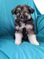 processed/5a51713d-62eb-4db0-aca7-faec690e73d2/listing/0af7c1fe-223d-4db0-9a04-1818136d5650/3c06a371-b89a-477c-a344-ada9a892cd45