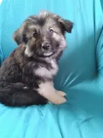 processed/5a51713d-62eb-4db0-aca7-faec690e73d2/listing/0af7c1fe-223d-4db0-9a04-1818136d5650/9e93cce9-e514-4af5-802e-708f4ee4edc3