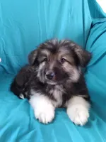 processed/5a51713d-62eb-4db0-aca7-faec690e73d2/listing/0af7c1fe-223d-4db0-9a04-1818136d5650/efb47a8d-06a3-40f2-a72e-96f46493b694