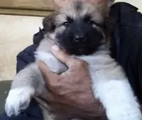 processed/5a51713d-62eb-4db0-aca7-faec690e73d2/listing/10d91c61-12c5-45f8-8382-f099c693e677/46bb161b-bf90-415d-9112-ab6f8274c545